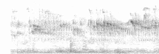 rorýs domovní (ssp. singalensis) - ML612113260