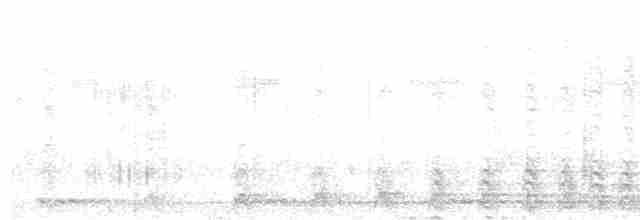 Ceylonhornvogel - ML612113550