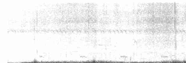 חרטומית סיבירית - ML612114922