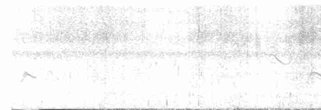 חרטומית סיבירית - ML612114929