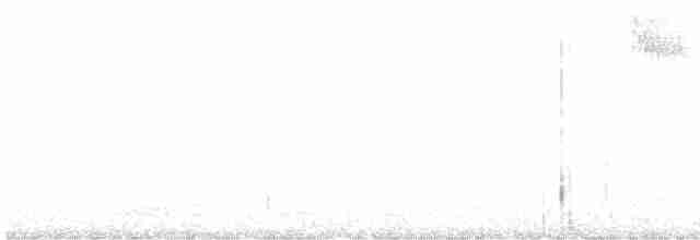 Turuncu Göğüslü Papağan İspinozu - ML612115308