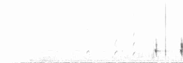 White-eared Honeyeater - ML612116178