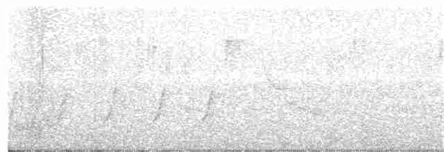 Горличка білолоба - ML61211891