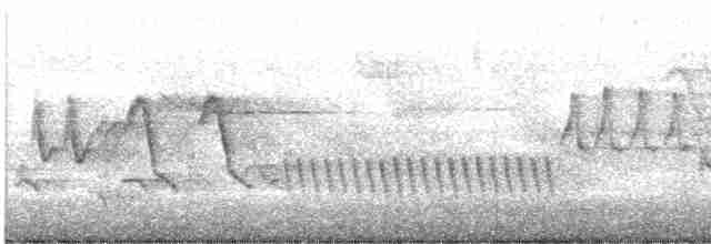 House Wren - ML612119922