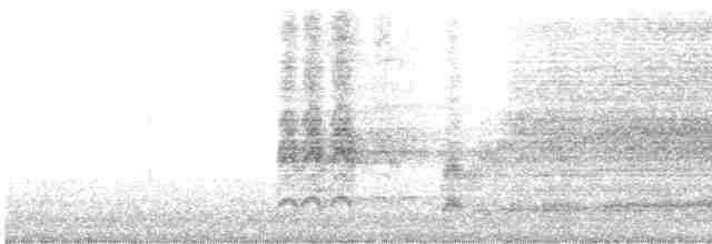 Barn Owl - ML612120030