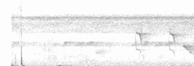 Мурав’янка-прудкокрил рондонійська - ML612120089