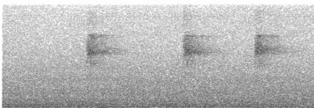 Kızıl Göğüslü Yaprakçeviren (scansor) - ML612120700