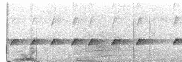 Королаз плямистобокий - ML612125787