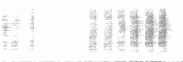 Carolina Wren - ML612125864