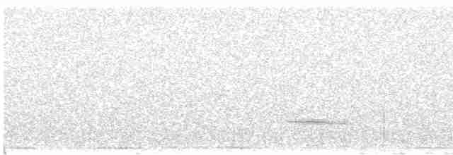 Turuncu Ardıç - ML612126224