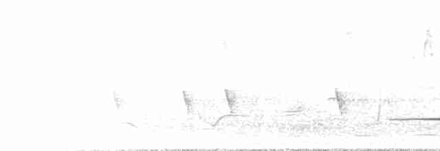 Rufous Whistler - ML612126935