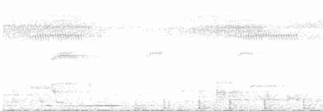 Какатоїс-голіаф - ML612129297