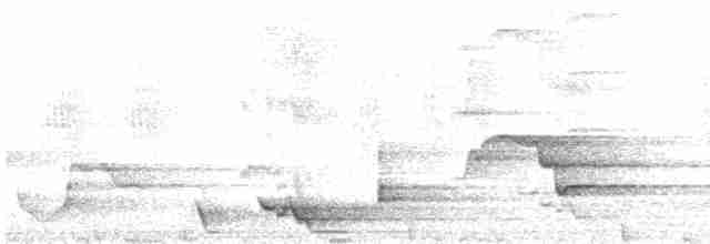 Какатоїс-голіаф - ML612129298