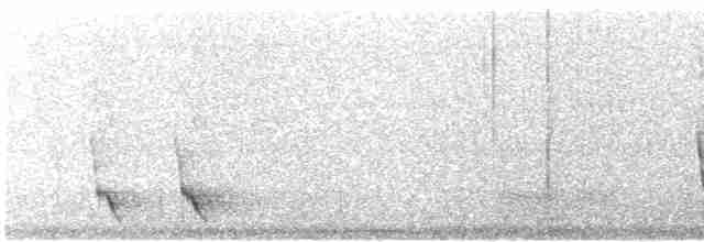 Plush-crested Jay - ML612130973