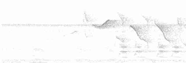 Tepeli Bekard - ML612131261