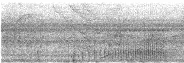guan bělohlavý - ML612131349