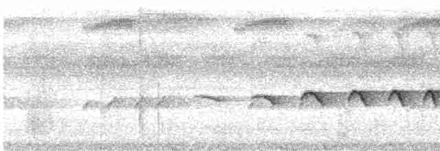 Grauwangen-Ameisenvogel - ML612132066