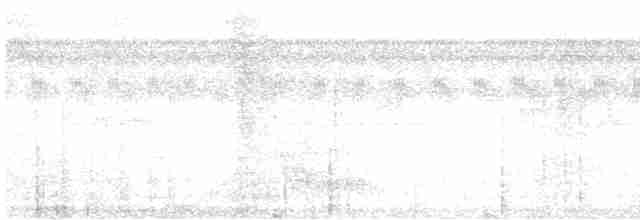 Grauschopf-Ameisenvogel - ML612132374