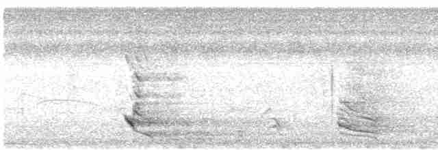 Azure-naped Jay (Campina) - ML612132477