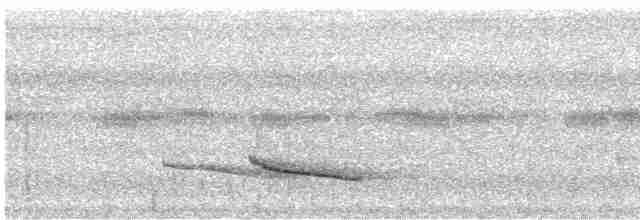 Smaragdan oreillard (groupe leucotis) - ML612132784