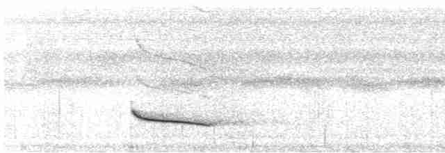 Серошапочный сорокопутовый виреон [группа leucotis] - ML612132785