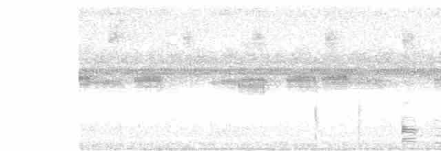 Толстоклювый крапивник (modulator) - ML612132793