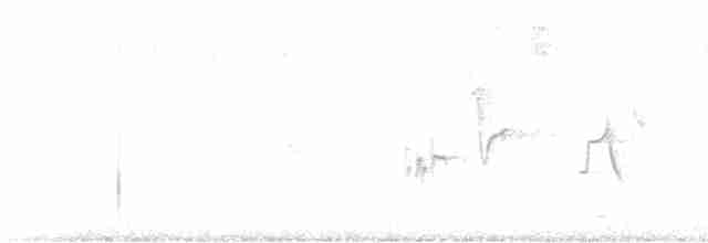 Дрізд-короткодзьоб південний [група melpomene] - ML612132923