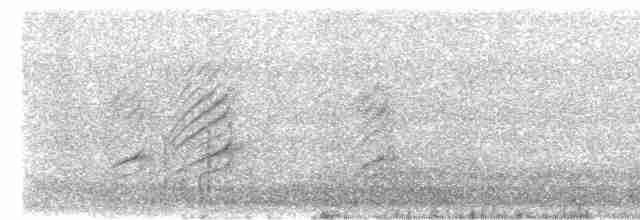 Kara Gagalı Saksağan - ML612135972