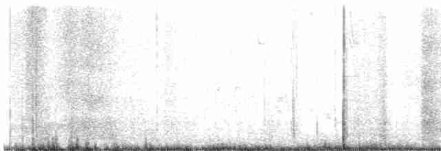 Beyaz Göğüslü Sıvacı - ML612136345
