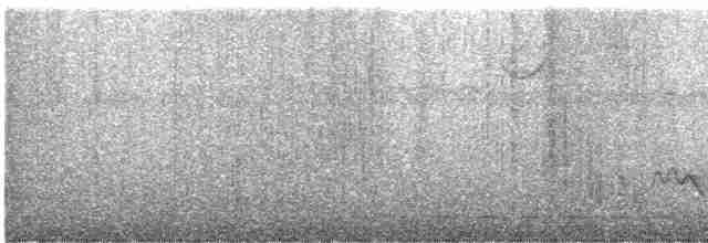 Kısa Kuyruklu Karıncaardıcı - ML612137233