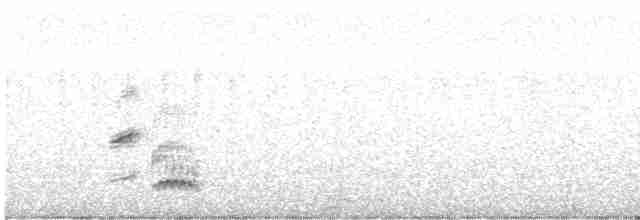 Dot-winged Crake - ML612142052