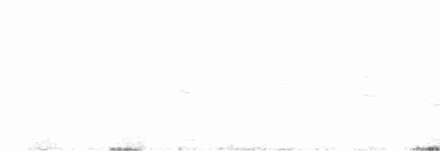 Щеврик пампасовий - ML612142497