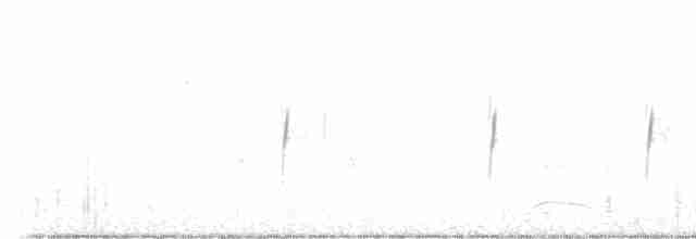 Піві-малюк сірий - ML612143187