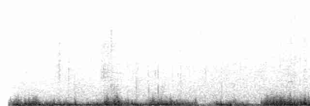 Eufonia Elegante - ML612143248