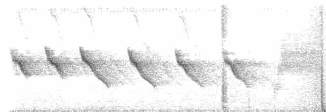 Kanyon Çıtkuşu - ML612143401