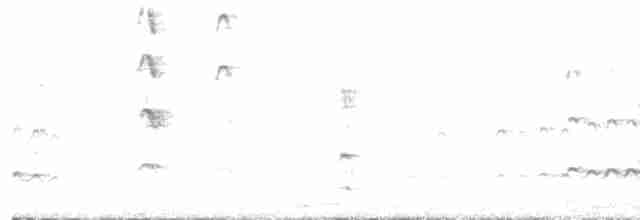 Karayip Islıkçı Ördeği - ML612144622