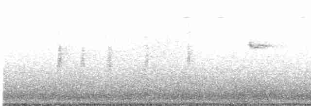 Mirlo Acuático Norteamericano - ML612145085