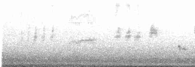 Mirlo Acuático Norteamericano - ML612145087