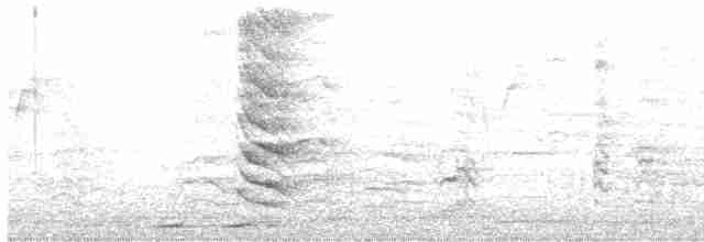 dudek chocholatý [skupina epops] - ML612149143