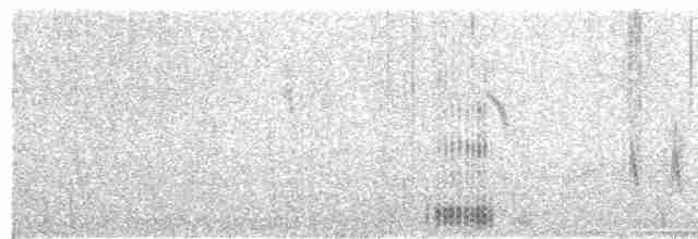 אנפית סינית - ML612150203