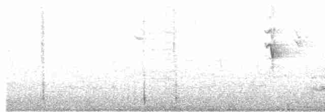 hvitsmykkehonningeter - ML612150433