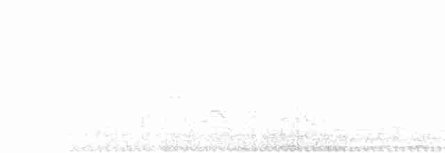 gråpannegrønndue - ML612150459