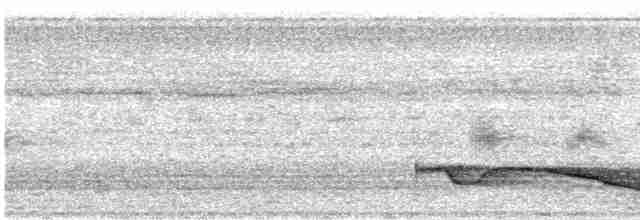 Great Eared-Nightjar - ML612151125