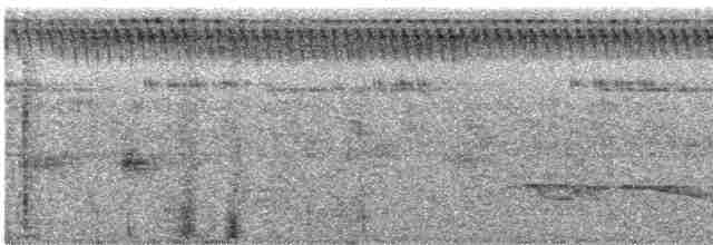 Great Eared-Nightjar - ML612151126