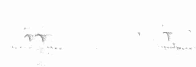Кратеропа жовтодзьоба - ML612151770