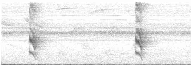 Halsflecken-Baumspäher - ML612152424