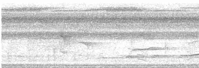 Cinereous Antshrike - ML612153442
