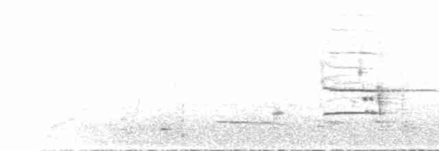 Grallina Australiana - ML612153914