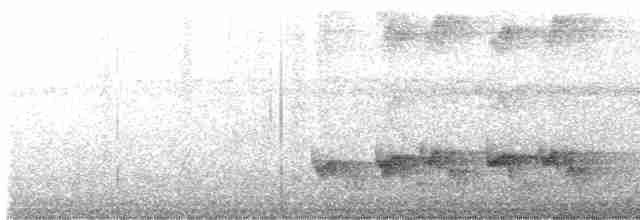 Swallow-tailed Manakin - ML612154127