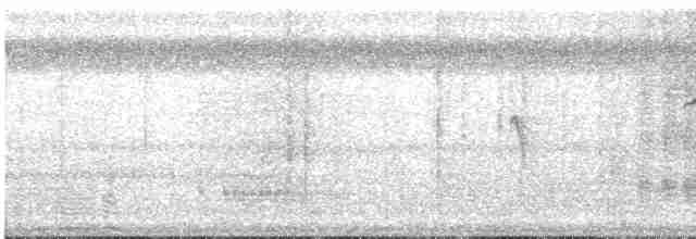 Ornate Stipplethroat - ML612154978